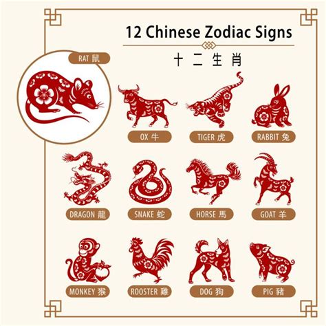 Year of the Rat : 2020 | Chinese zodiac signs, Chinese zodiac, 12 chinese zodiac signs