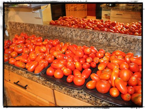 Tomatoes Drying - DoAhead Woman