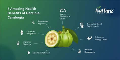 8 Reasons Why You Need Garcinia Cambogia