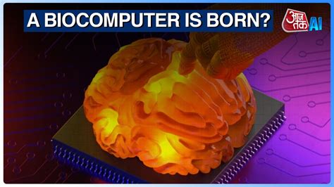 AI News: Biocomputer | Scientists combines lab-grown brain tissue with electronic hardware | AI ...