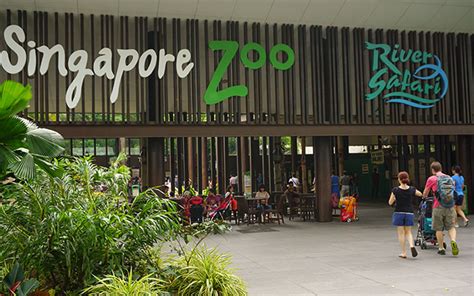 Singapore Zoo Opening Hours - Explore Singapore