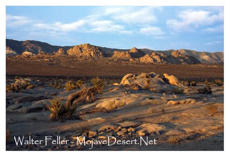 Magma On The Move: Geology of the Mojave Desert