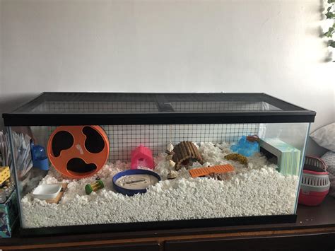 How is my first tank set up? : r/hamsters