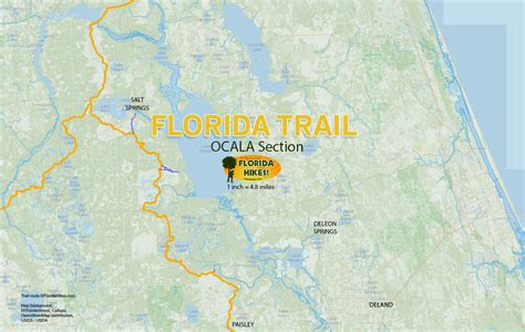 Florida Trail, Ocala | Florida Hikes!