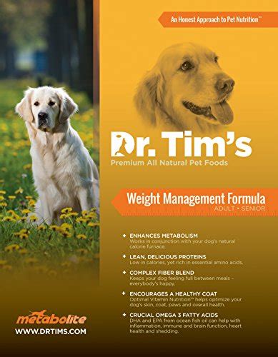 The Best Weight Loss Dog Food for Overweight Dogs in 2020