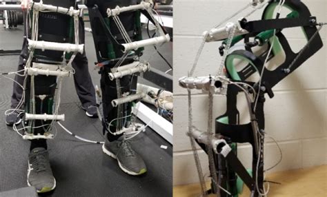 Biomedical engineering senior capstone projects | Binghamton News