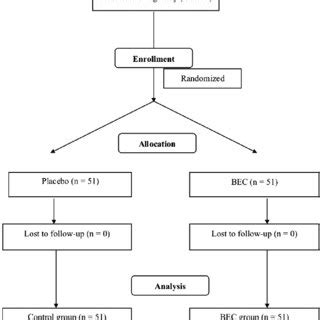 Summary of the randomized, double blind trial. | Download Scientific ...