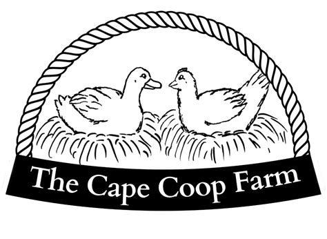 Great Backyard Duck Breeds - The Cape Coop