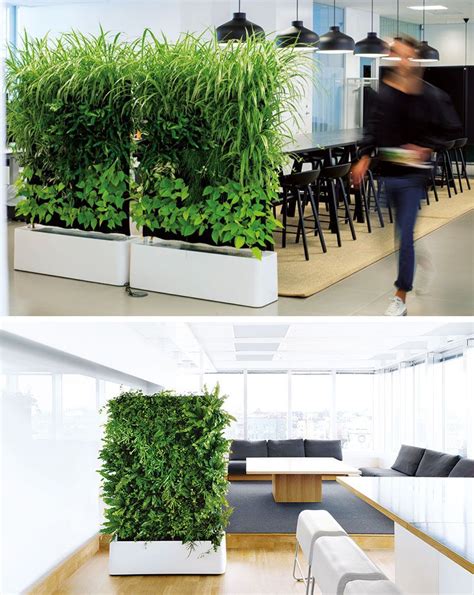 15 Creative Ideas For Room Dividers | Room with plants, House design ...