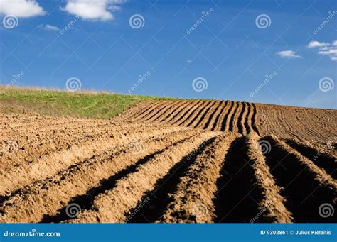 Agriculture Landscape - Ploughed Field Stock Image - Image of ploughed, food: 9302861