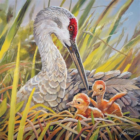 Sandhill Crane Painting | Original Oil On Canvas