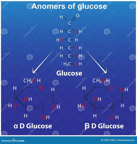 Anomers of Glucose Pyranose Alpha D Glucose Stock Vector - Illustration of anomers, document ...