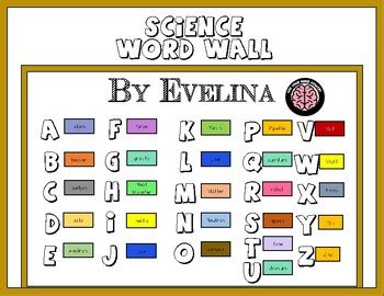 Science Word Wall Bulletin Board Set by Evelina's | TPT