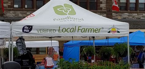 North Bay Farmers' Market featured in Local Food Report - My North Bay Now