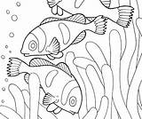 Animal Habitat Coloring Pages At GetDrawings  Free Download sketch template
