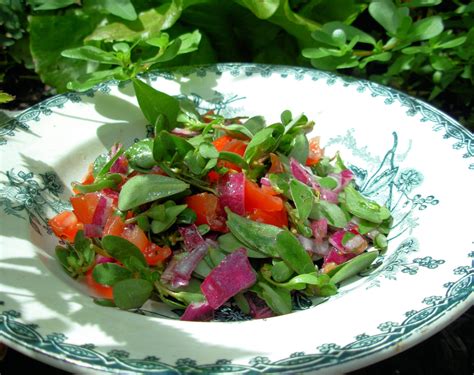 Purslane Recipes Salad | Dandk Organizer