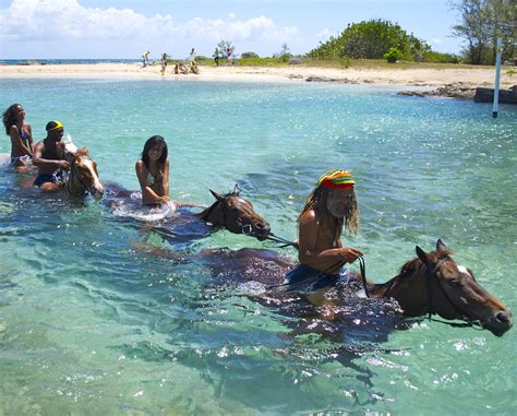 Horseback Ride in the Ocean | Places to travel, Horseback riding, Places to go