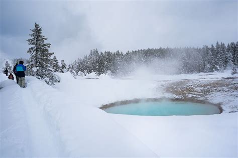 Yellowstone’s Mammoth Hot Springs…a magical wonderland in winter ...