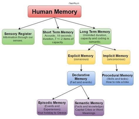 Types of human memory | Human behavior psychology, Human memory, Memory ...