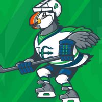 Beacon the Puffin Introduced as Maine Mariners Mascot – SportsLogos.Net ...