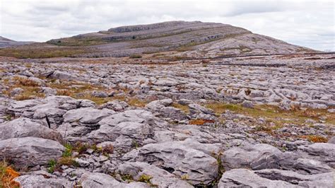 The Burren National Park | Things to Do | Lady Gregory Hotel