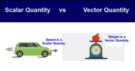 Difference between Scalar Quantity and Vector Quantity - javatpoint