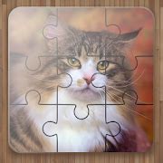 Cat Puzzle Games Free - Apps on Google Play