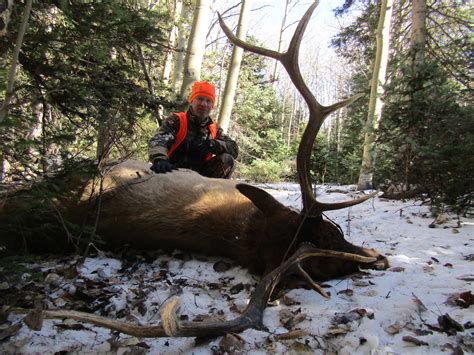 Colorado Elk Hunting 2024 - Audra Maribelle