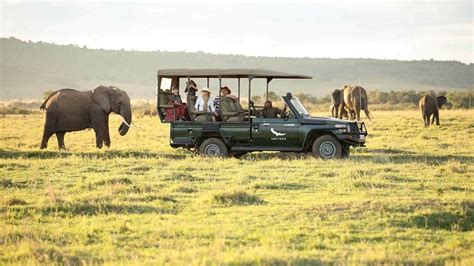 game-drive-in-the-masai-mara