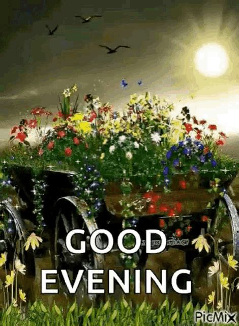 Good Evening Flowers GIF - Good Evening Flowers Sunset - Discover & Share GIFs