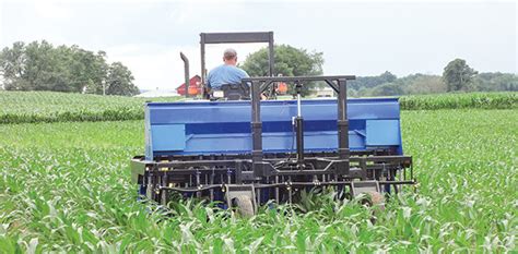 Annual crops can boost forage production - | Ag Proud