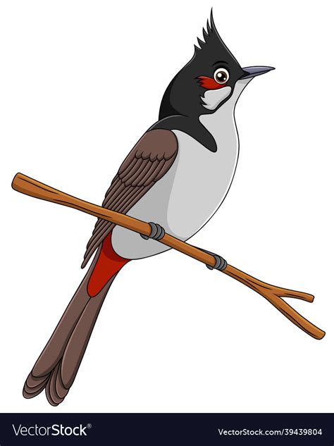 Cute red whiskered bulbul bird cartoon illu Vector Image