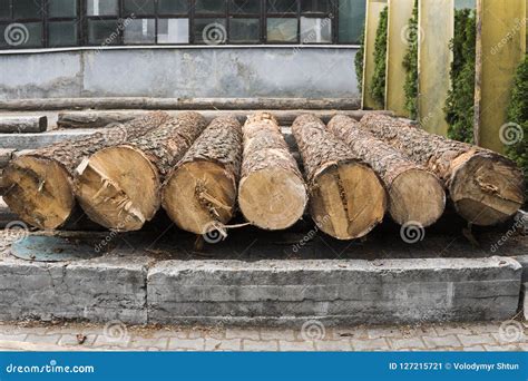 A Pile of Logs Lie on a Forest Platform, a Sawmill. Processing of ...