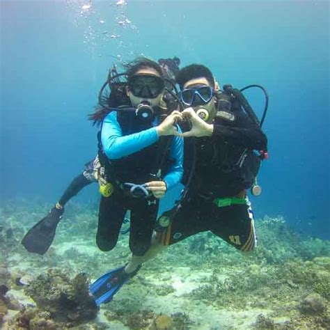 Samal Island SCUBA Diving Package - WayPH.com