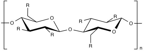 The Cosmetic Chemist