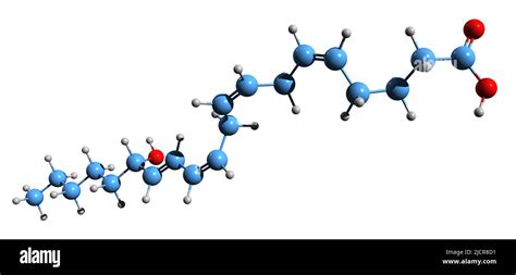 3D image of 15-Hydroxyeicosatetraenoic acid skeletal formula ...