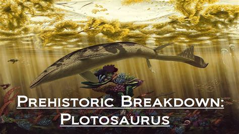 Prehistoric Breakdown: Plotosaurus - YouTube