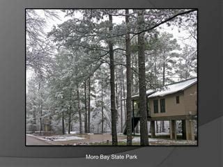 Arkansas State Parks - Winter 2010