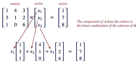 A Beginner's Guide to Understanding Vectors for Linear Algebra