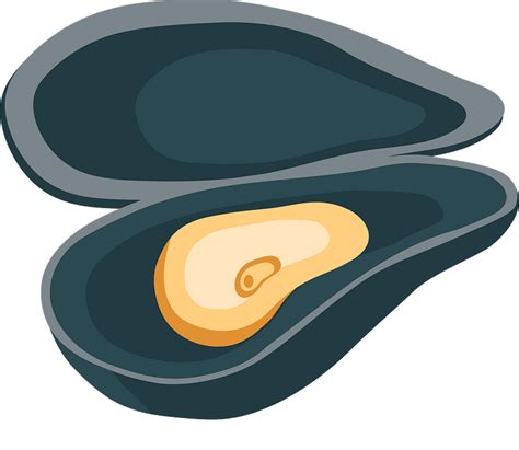 Clam clipart. Free download transparent .PNG | Creazilla