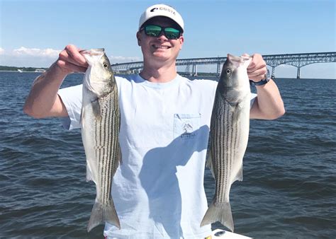 Upper Chesapeake Bay Fishing Report, May 2019 | FishTalk Magazine