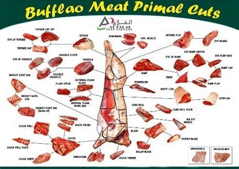 Meat Primal Cuts - Buffalo Meat Primal Cut Exporter from Sambhal