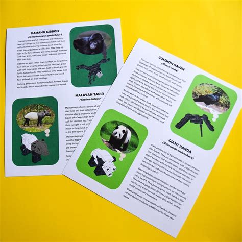 LEGO Animals Instructions