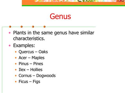 PPT - ORIGIN OF PLANTS PowerPoint Presentation, free download - ID:3272292