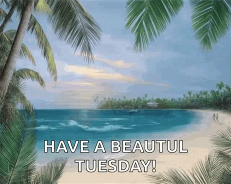 Beach Have ABeautiful Tuesday GIF - Beach HaveABeautifulTuesday - Discover & Share GIFs