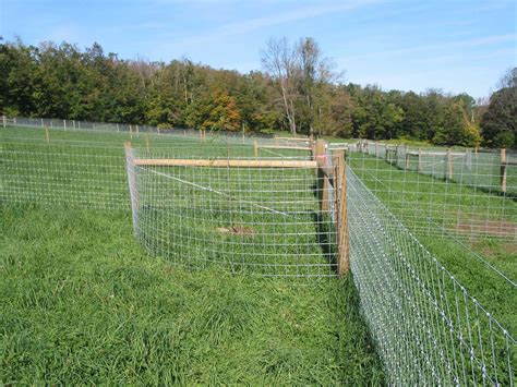 Fox Mountain Farm: Fencing Detail and Design