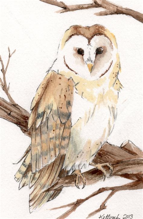 Barn Owl Watercolor Painting Wildlife Art OSWOA