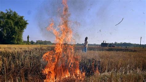 'Demanded Water, Not Smoke...': Haryana Minister Slams Punjab Govt Over ...