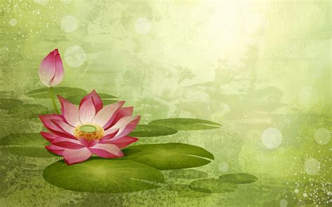 Lotus Flower Backgrounds - Wallpaper Cave