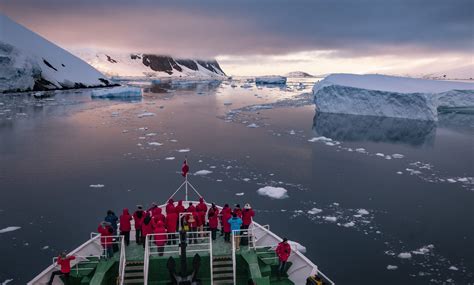 G Adventures brings back Antarctica trips - Travel Weekly